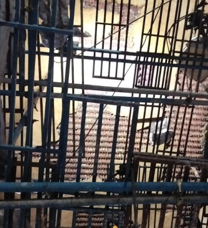Thermlyte WTE header connection coil work