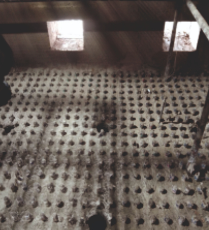 spent wash boiler nozzle lining curing process